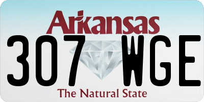 AR license plate 307WGE