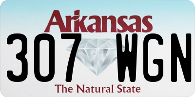 AR license plate 307WGN
