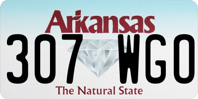 AR license plate 307WGO