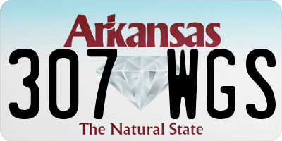 AR license plate 307WGS