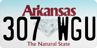 AR license plate 307WGU