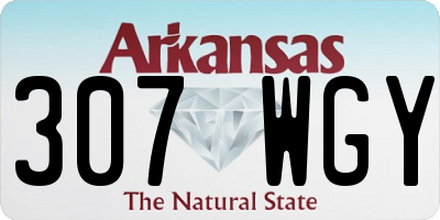 AR license plate 307WGY