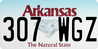 AR license plate 307WGZ