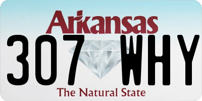 AR license plate 307WHY