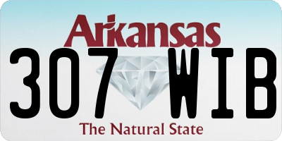 AR license plate 307WIB