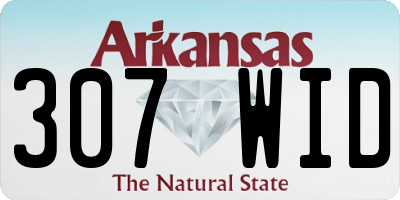 AR license plate 307WID