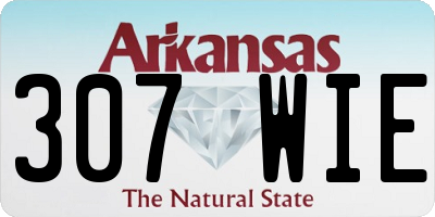 AR license plate 307WIE