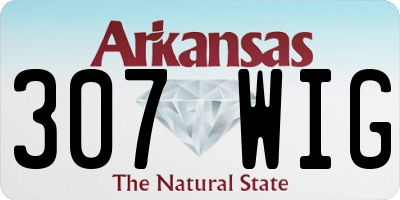 AR license plate 307WIG