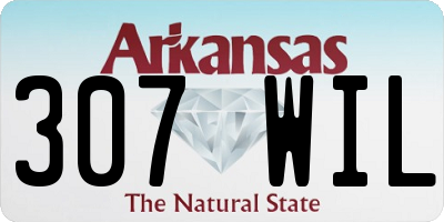 AR license plate 307WIL