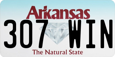 AR license plate 307WIN