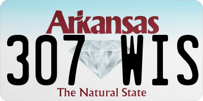AR license plate 307WIS