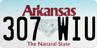AR license plate 307WIU