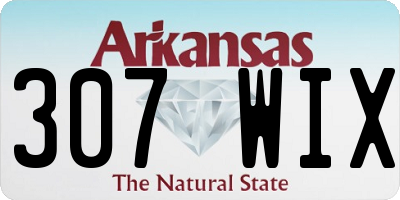AR license plate 307WIX