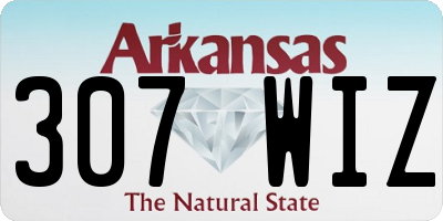 AR license plate 307WIZ