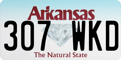 AR license plate 307WKD