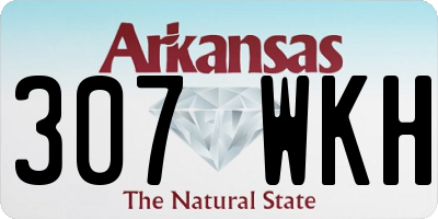 AR license plate 307WKH