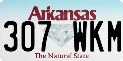 AR license plate 307WKM