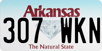 AR license plate 307WKN