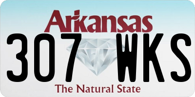 AR license plate 307WKS