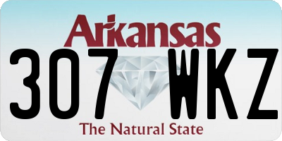 AR license plate 307WKZ