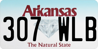 AR license plate 307WLB