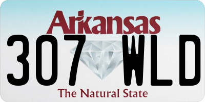 AR license plate 307WLD