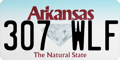 AR license plate 307WLF