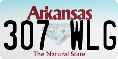 AR license plate 307WLG