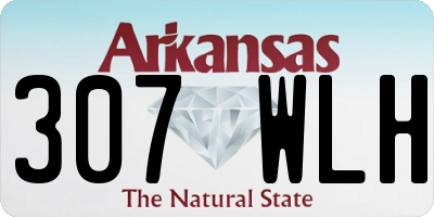 AR license plate 307WLH