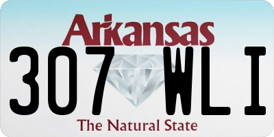 AR license plate 307WLI