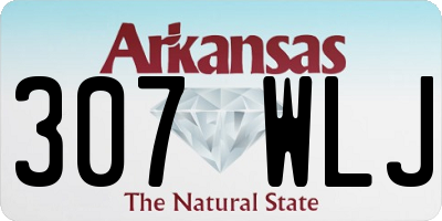 AR license plate 307WLJ