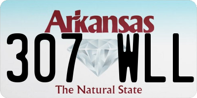 AR license plate 307WLL