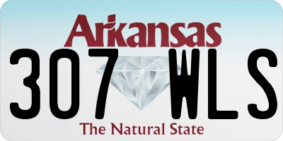 AR license plate 307WLS