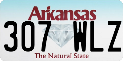 AR license plate 307WLZ