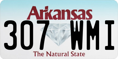 AR license plate 307WMI