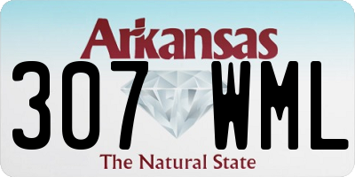 AR license plate 307WML