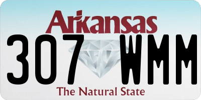 AR license plate 307WMM