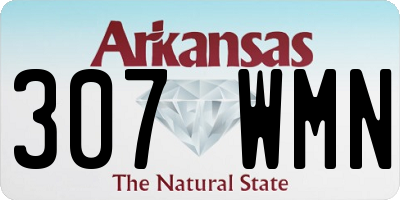 AR license plate 307WMN