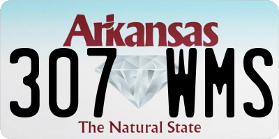 AR license plate 307WMS