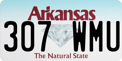 AR license plate 307WMU