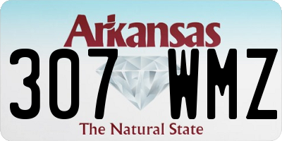 AR license plate 307WMZ