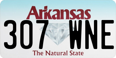 AR license plate 307WNE