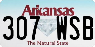 AR license plate 307WSB