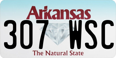 AR license plate 307WSC