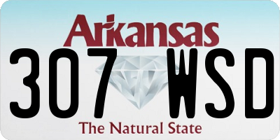 AR license plate 307WSD