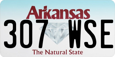AR license plate 307WSE
