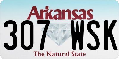 AR license plate 307WSK