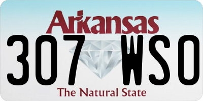 AR license plate 307WSO