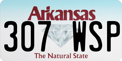 AR license plate 307WSP
