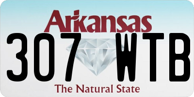 AR license plate 307WTB